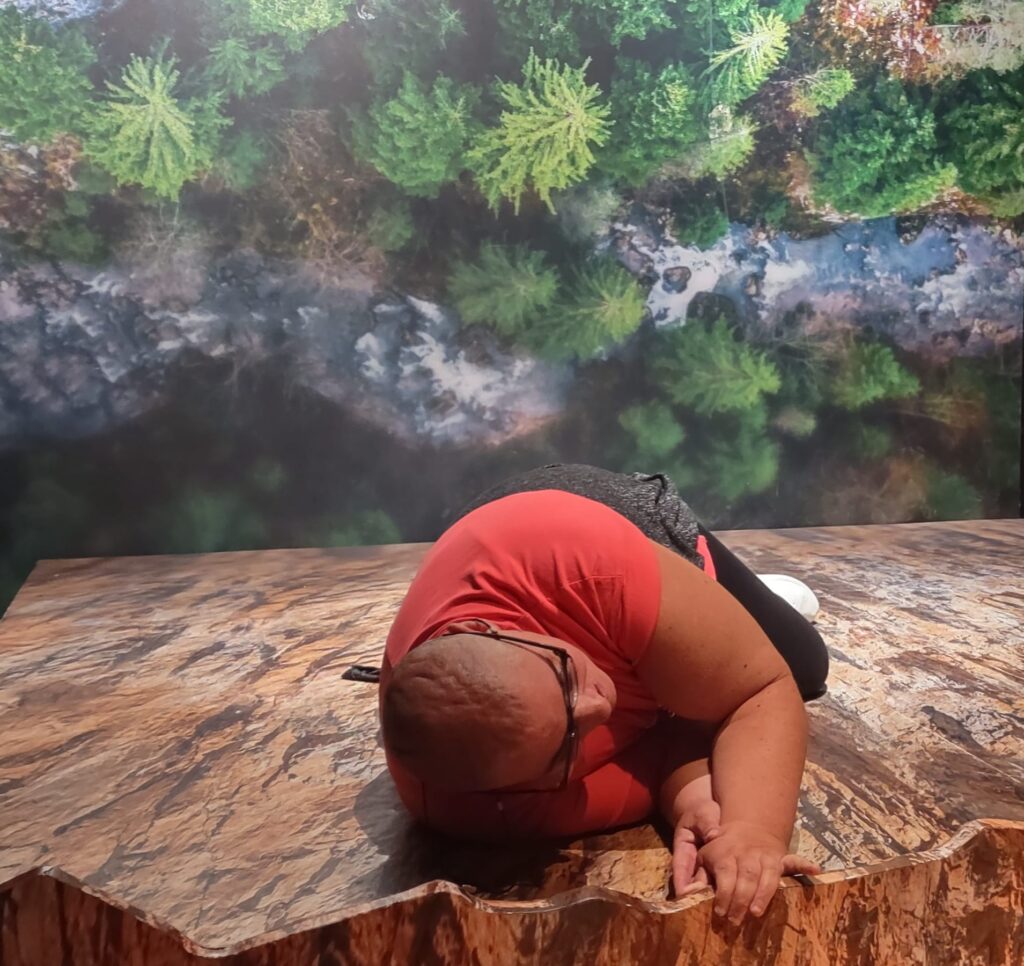 alcuni momenti della visita al Museo delle illusioni di Bologna del CSRD I Tigli dove si vedono gli utenti che si fanno le foto nei diversi allestimenti con illusioni ottiche e ambientazioni divertenti e dinamiche