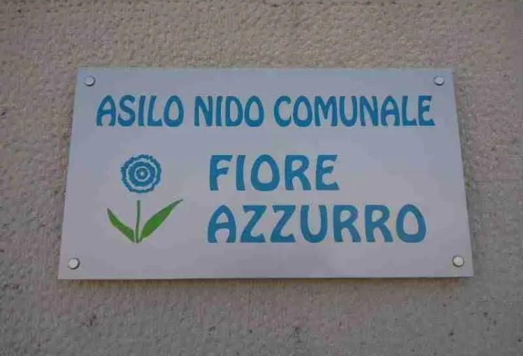 Nido Il Fiore Azzurro